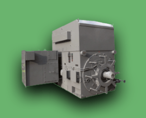 Medium & High Voltage Motors